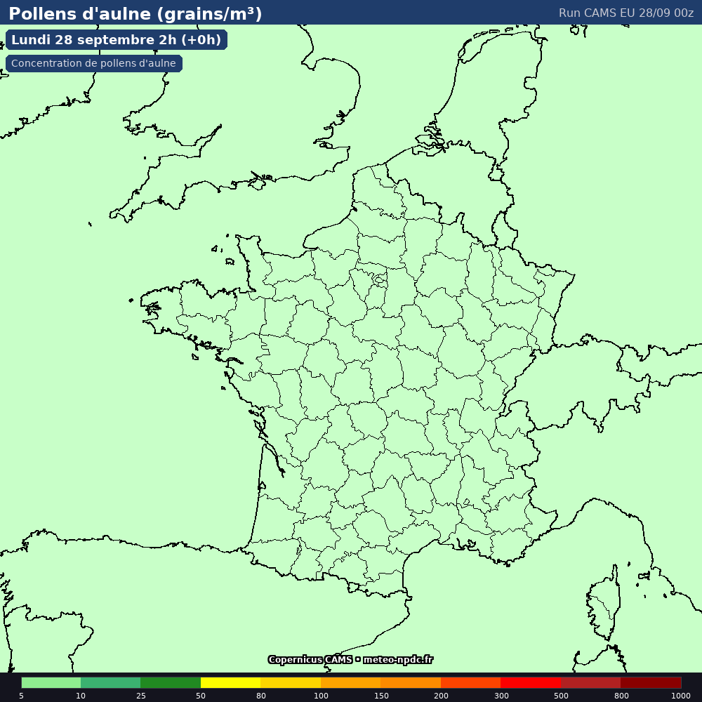 Carte de prévision météo du modèle CAMS Europe (10 km) - Température, précipitations, vent - Copernicus